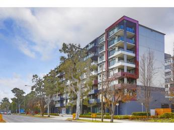 Massive light and bright space in the Inner City!