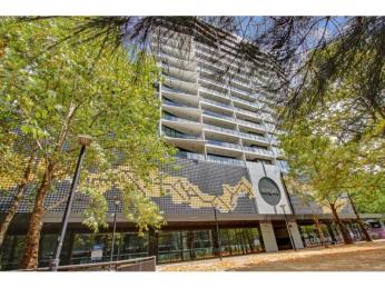 Shaken not Stirred - a View to Behold