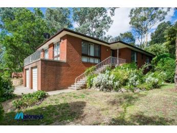 Elevated Opportunity