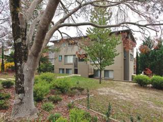 Great Rental Return!