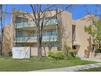 Brilliant buying at The Kingston Terrace