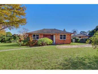 Blank canvas ready for your artistic flair