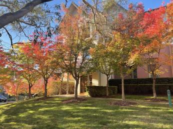 Best Value in Garran!