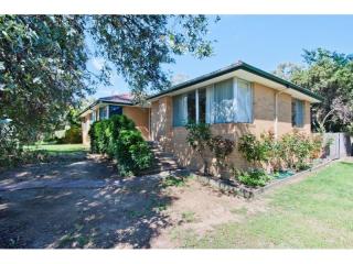 All the family requires.