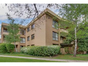 Tree-top views at “Kingston Court”!