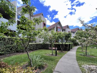Spacious Three Bedroom Apartment - Great Location
