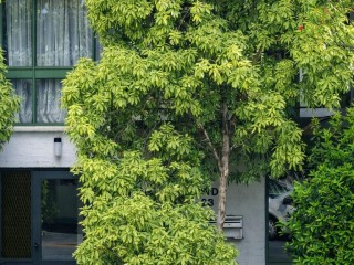 Two Bedroom Unit in Excellent Location