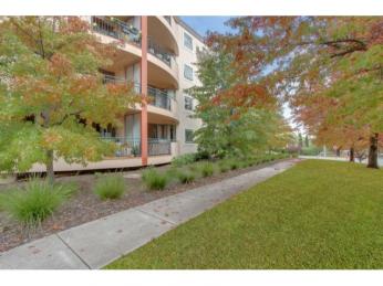 Space in a Social Locale