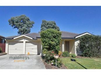 Investment Opportunity