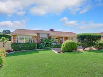 A 'Must See' in Must Circuit Calwell!