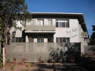 Spacious Charming One-Bedroom Ground Floor Flat with Leafy Outlook