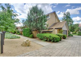 Light-filled Executive Townhouse!