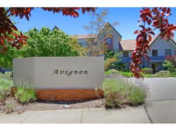 The French Connection!