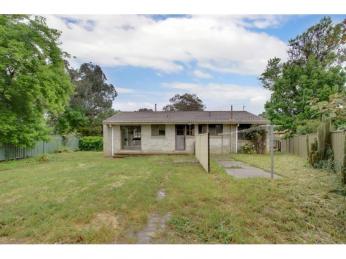 Fantastic & Affordable!