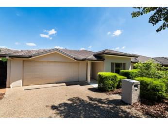 Ready & waiting – Seeking family to enjoy all I have to offer.